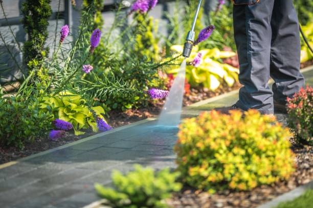 Best Driveway Cleaning and Restoration in Tempe, AZ